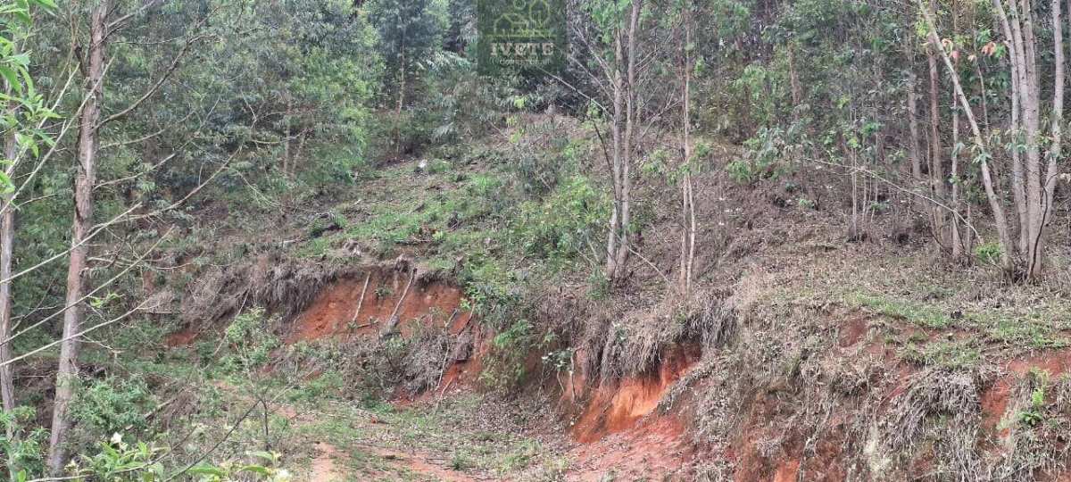 🌳 Ampla Área à Venda no Bairro da Lagoa – Socorro/SP - Ivete San Imóveis