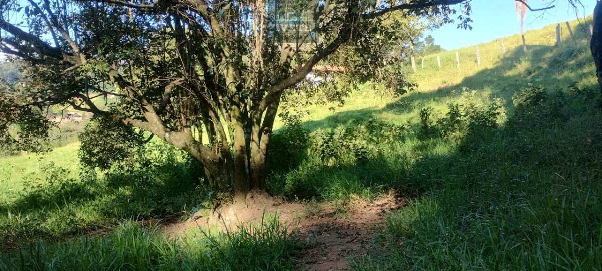 🌄 Ampla Área Rural à Venda em Pedra Bela/SP – Vista para a Pedra Maria Antônia - Ivete San Imóveis