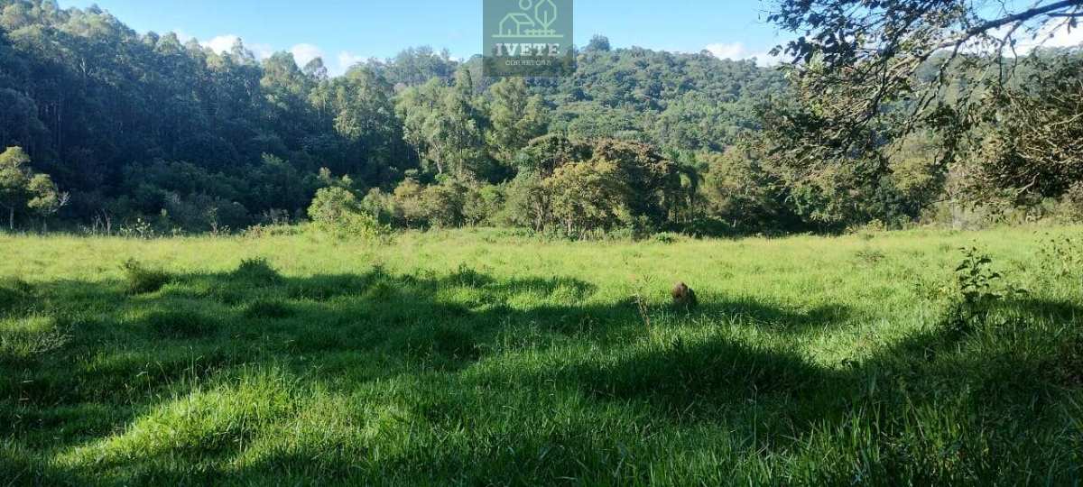 🌄 Ampla Área Rural à Venda em Pedra Bela/SP – Vista para a Pedra Maria Antônia - Ivete San Imóveis