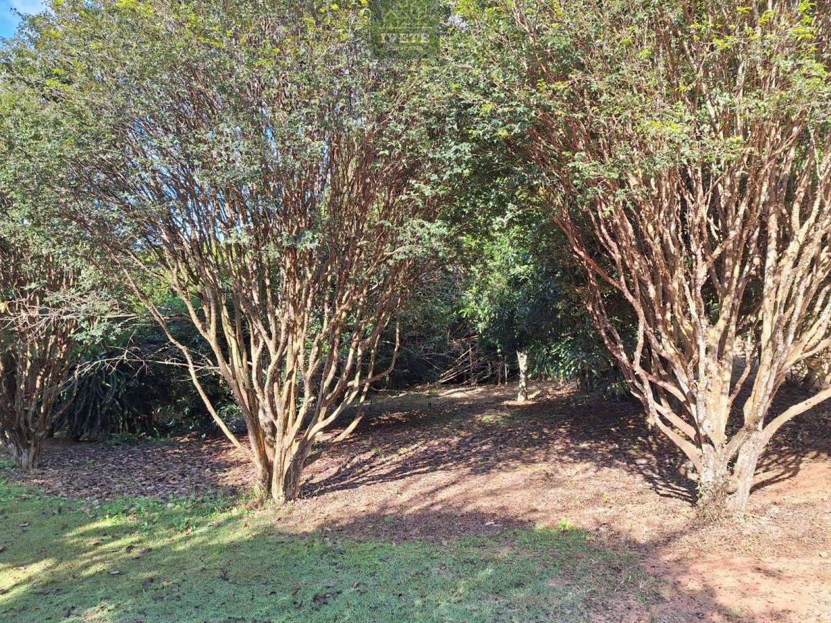 Chácara à venda em Socorro, jabuticabal, com 1 quarto, 22.000,00m² - Ivete San Imóveis