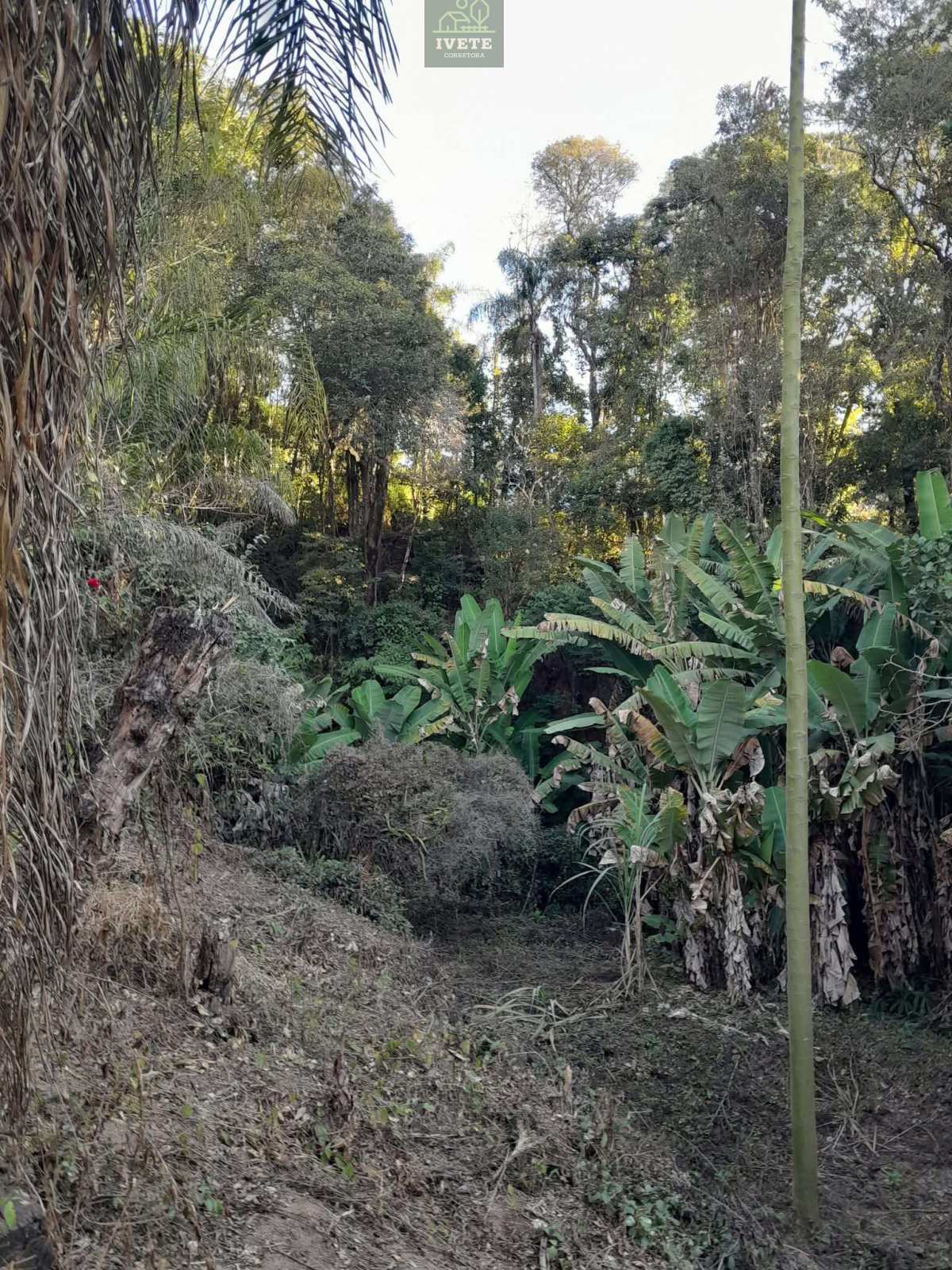 🏡Chácara a venda no Bairro Moquem em Socorro-SP, com escritura de parte ideal. - Ivete San Imóveis