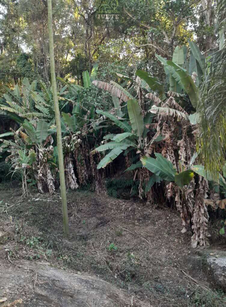 🏡Chácara a venda no Bairro Moquem em Socorro-SP, com escritura de parte ideal. - Ivete San Imóveis