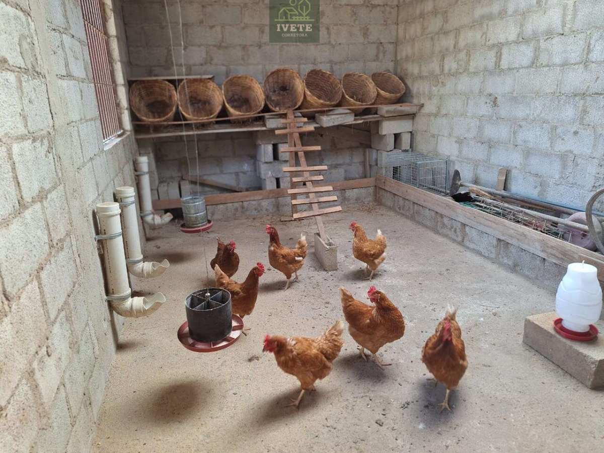 🏡Chácara à Venda no Bairro Tanque – Águas de Lindóia/SP - Ivete San Imóveis