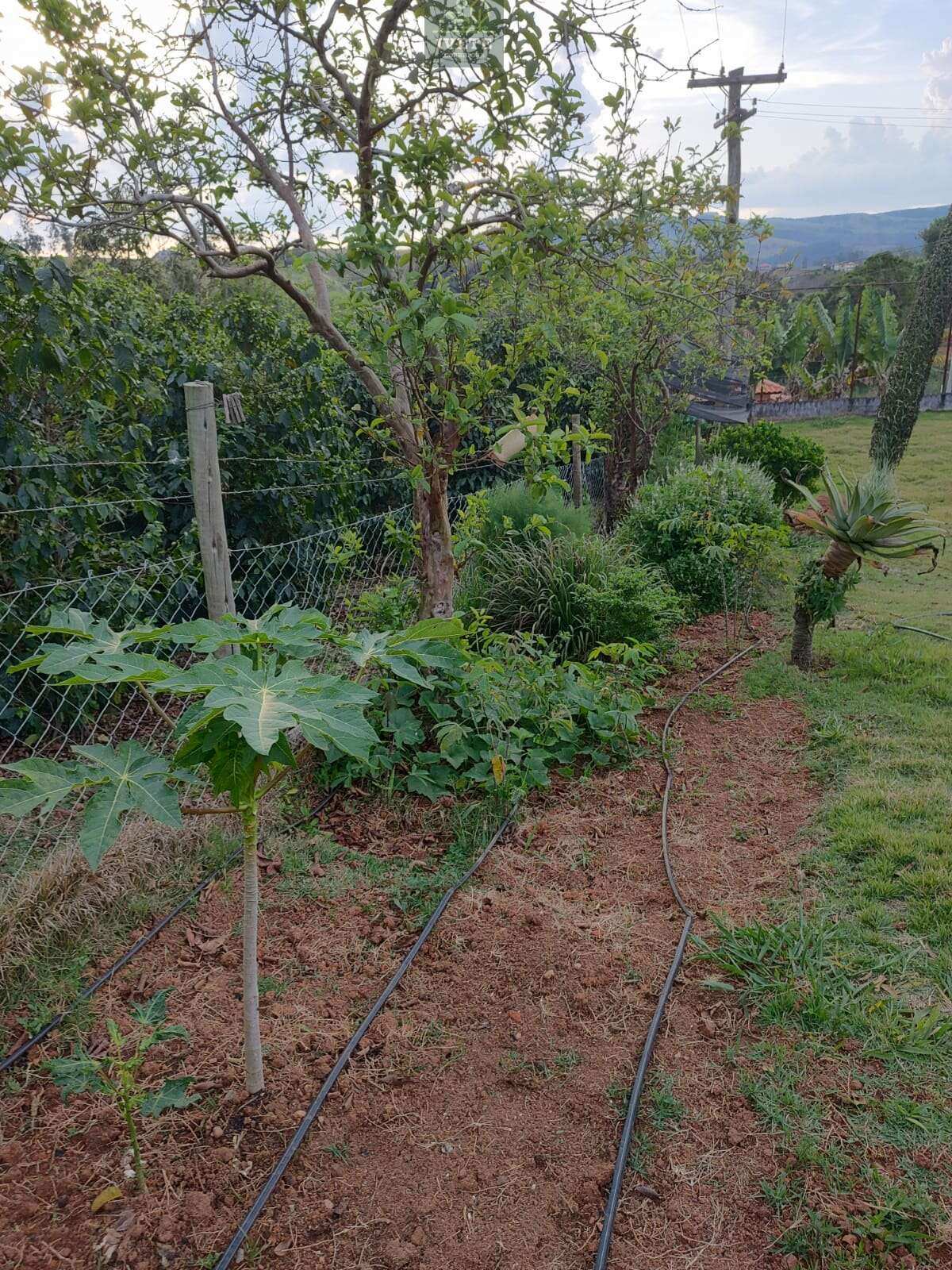 Chácara Completa à Venda – Oportunidade Imperdível! - Ivete San Imóveis
