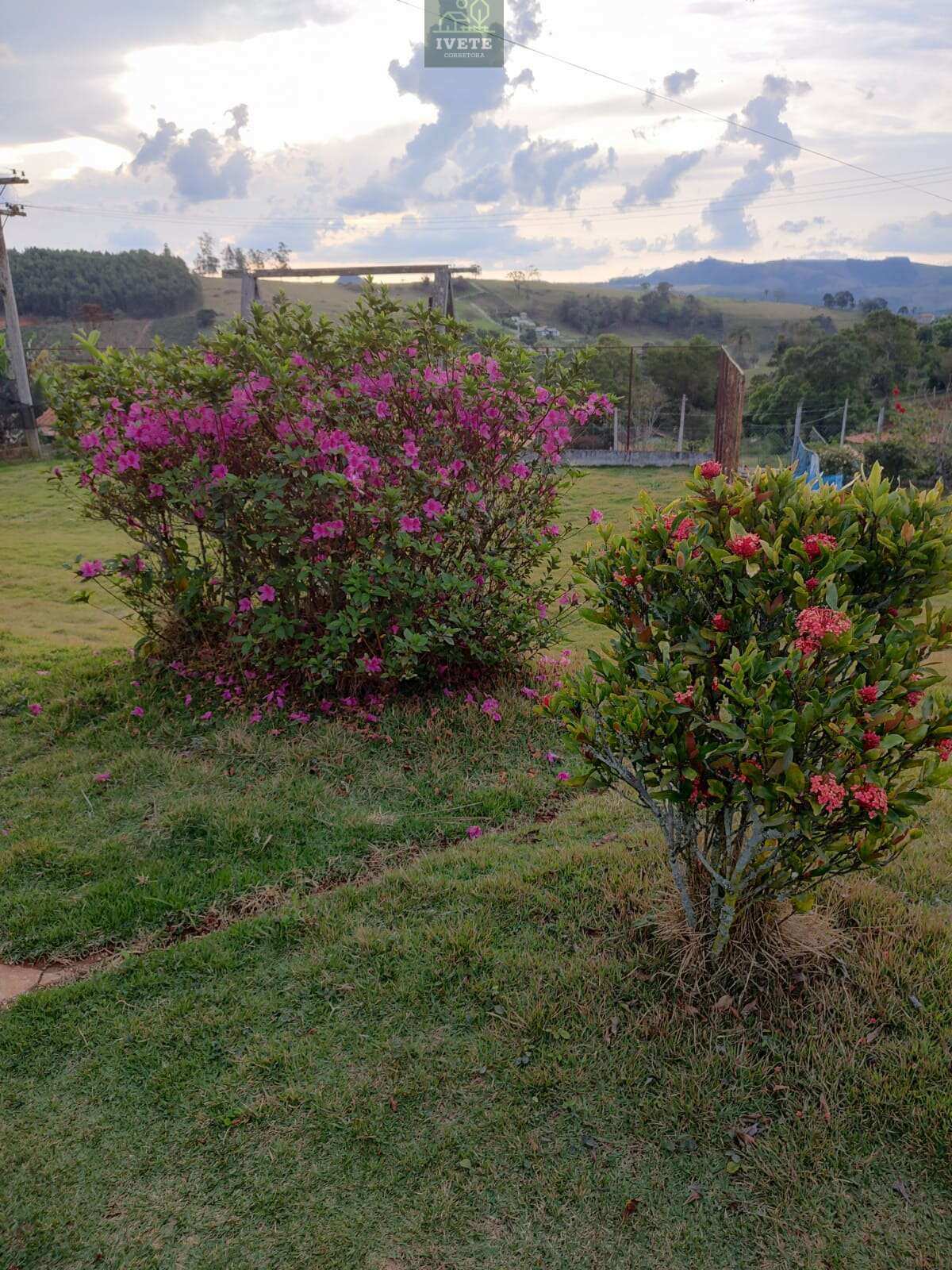 Chácara Completa à Venda – Oportunidade Imperdível! - Ivete San Imóveis