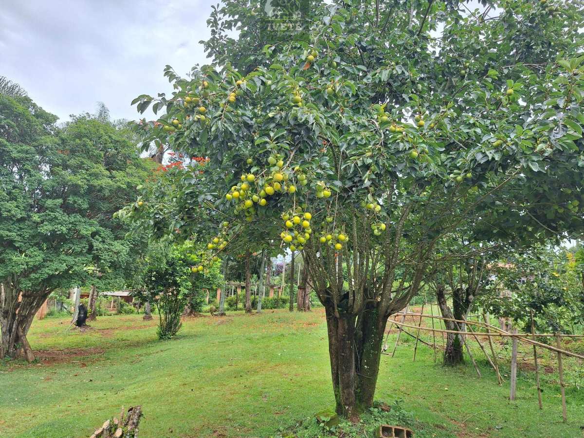 🏡 Chácara para Locação no Bairro Jaboticabal – Socorro/SP - Ivete San Imóveis
