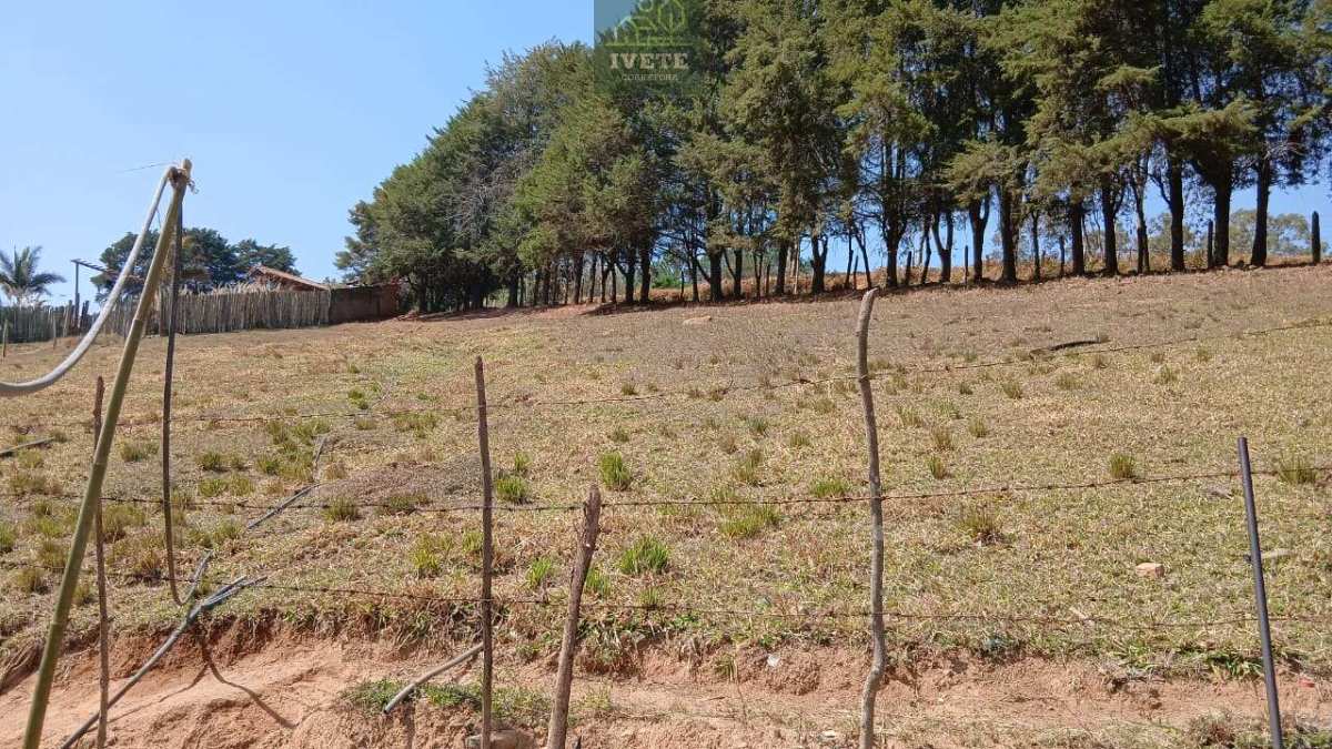 🌳Excelente terreno a 5 km do centro de Bueno Brandão - Ivete San Imóveis