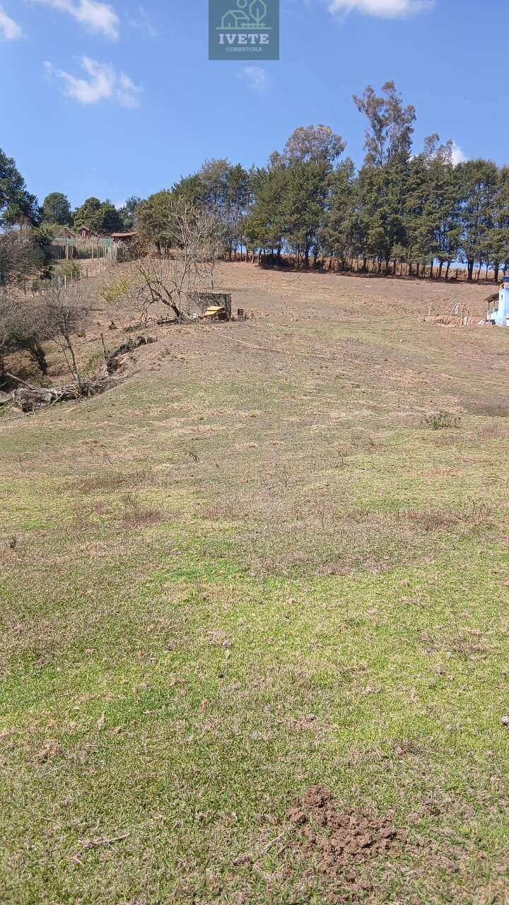 🌳Excelente terreno a 5 km do centro de Bueno Brandão - Ivete San Imóveis