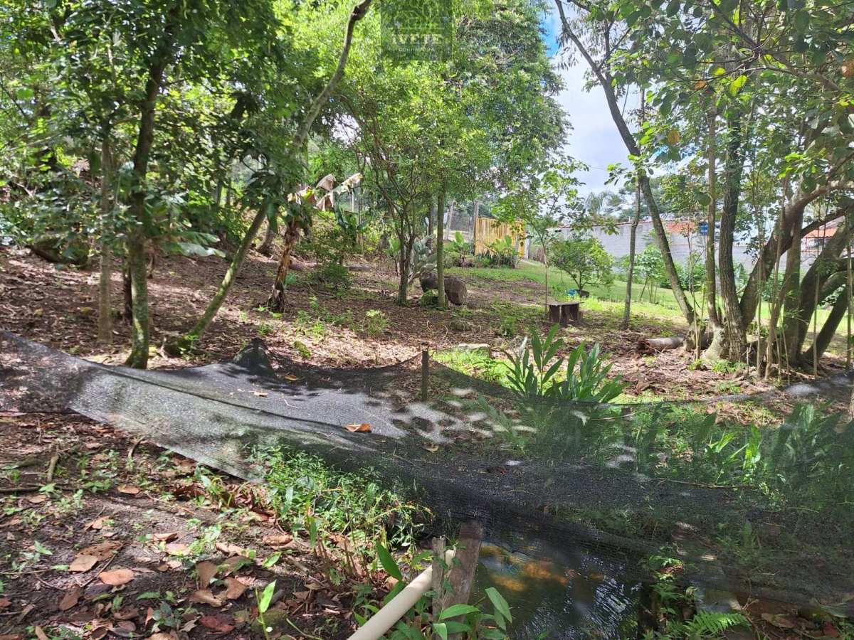 🏡 Linda Chácara à Venda em Pedra Bela/SP - Ivete San Imóveis