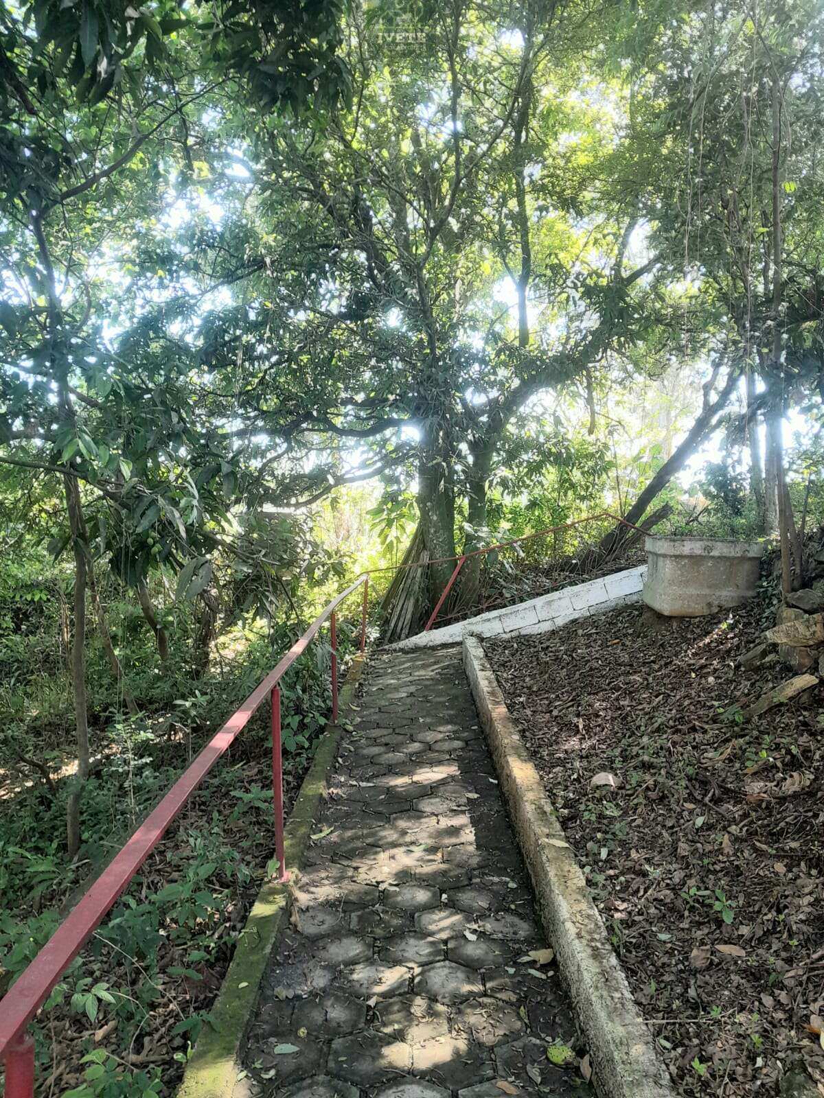 🌳 Linda Chácara à Venda ou para Locação no Bairro das Almas – Socorro/SP - Ivete San Imóveis