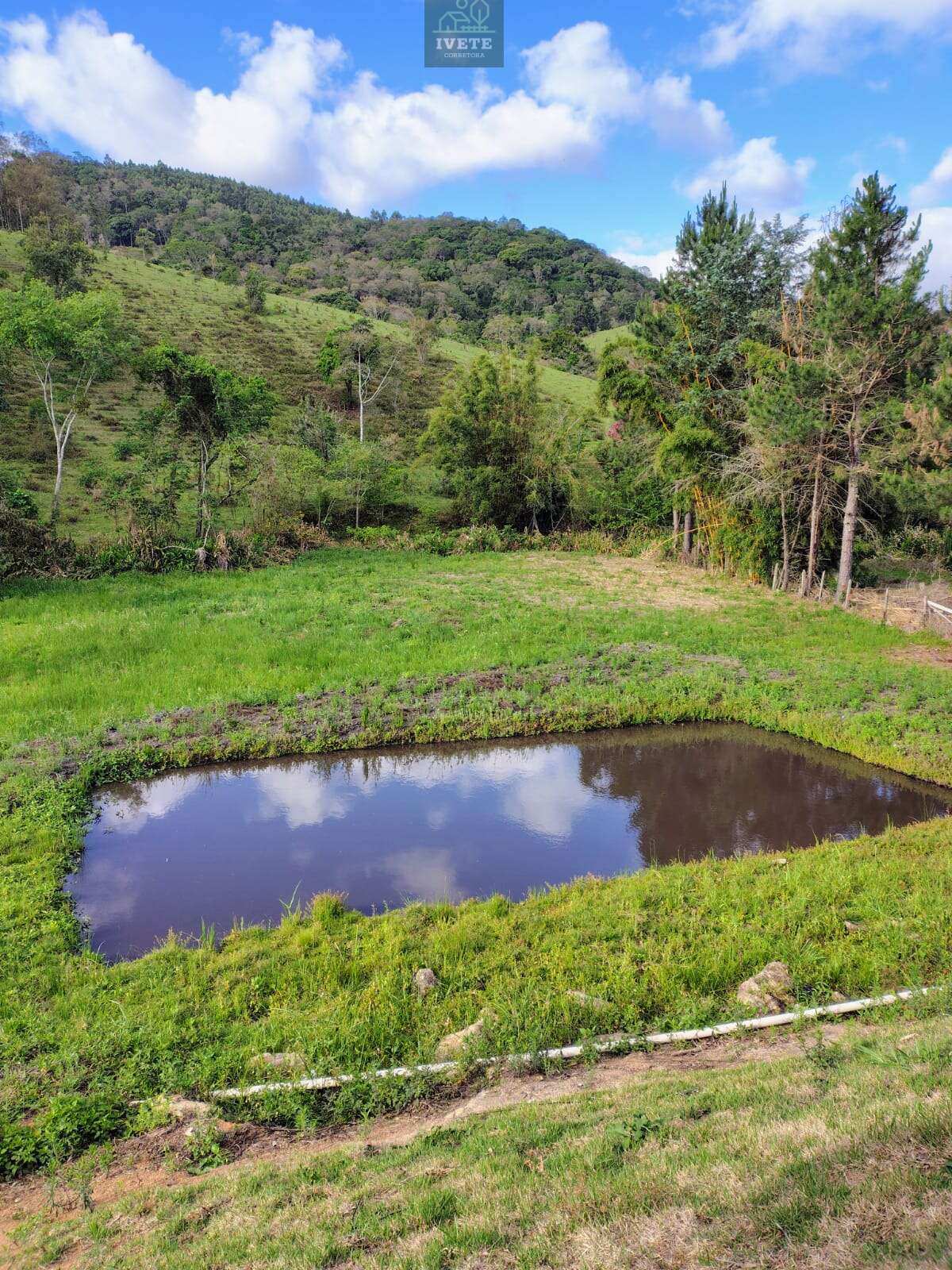 🏡 Linda Chácara à Venda – Pitangueiras de Cima, Pedra Bela – SP! 🌳 - Ivete San Imóveis