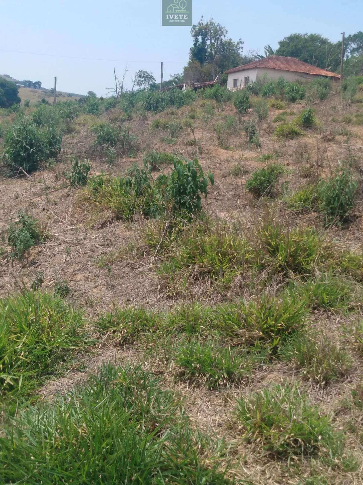 🏡Sítio excelente com escritura no Bairro Corrente em Munhoz - Ivete San Imóveis