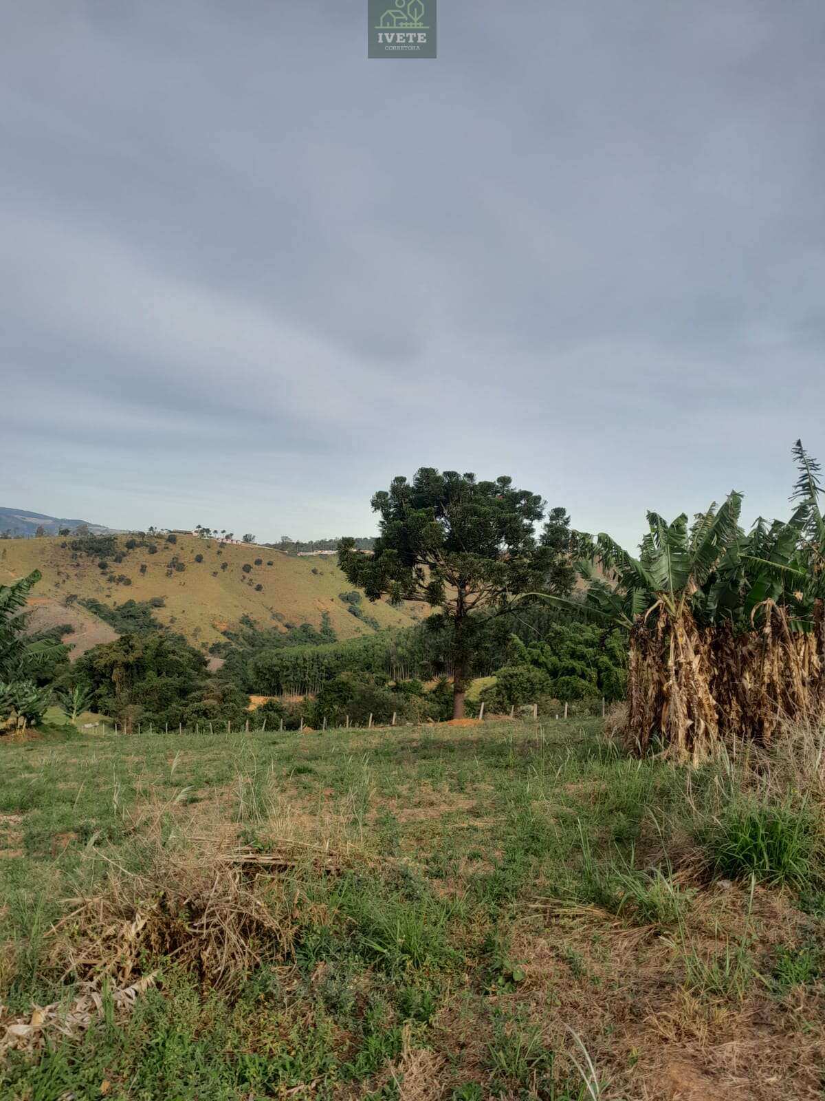 Socorro SP Terreno a Venda Localizado no Bairro da Pompéia - Ivete San Imóveis