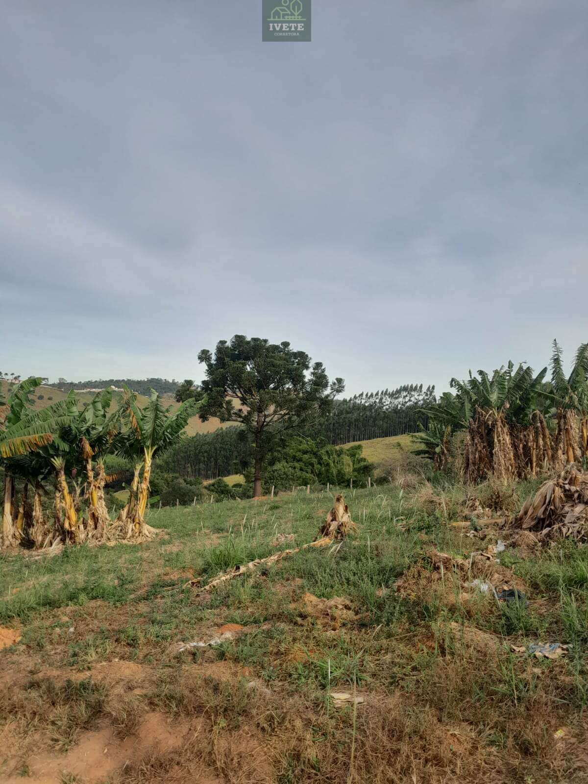 Socorro SP Terreno a Venda Localizado no Bairro da Pompéia - Ivete San Imóveis
