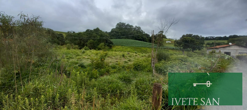 Terreno, 1560m², à venda em Socorro - Ivete San Imóveis