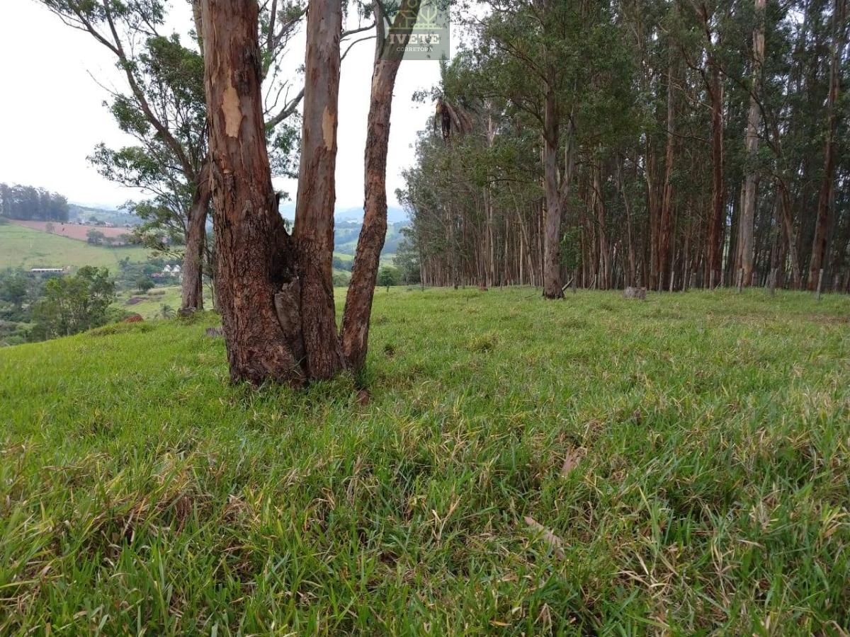 Terreno, à venda em Socorro - Ivete San Imóveis