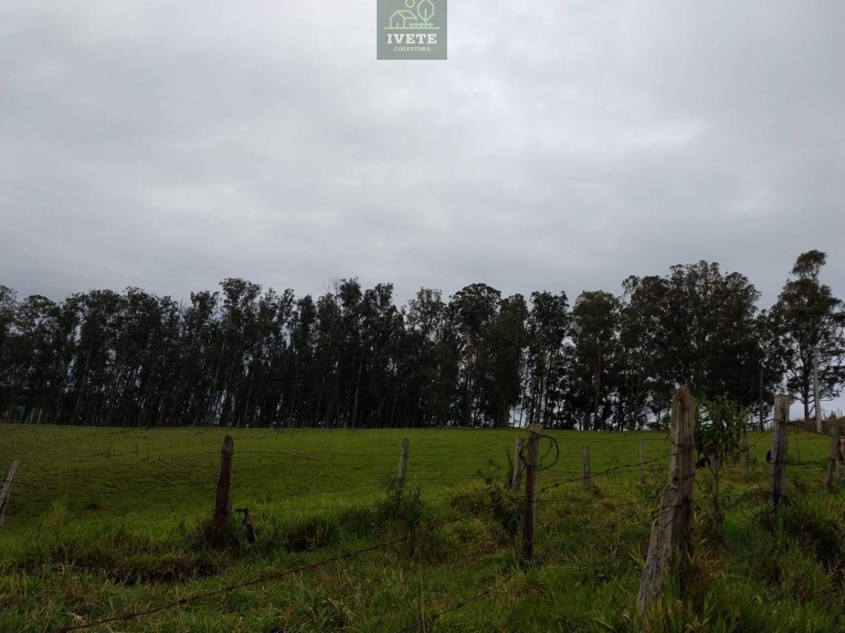 Terreno, à venda em Socorro - Ivete San Imóveis