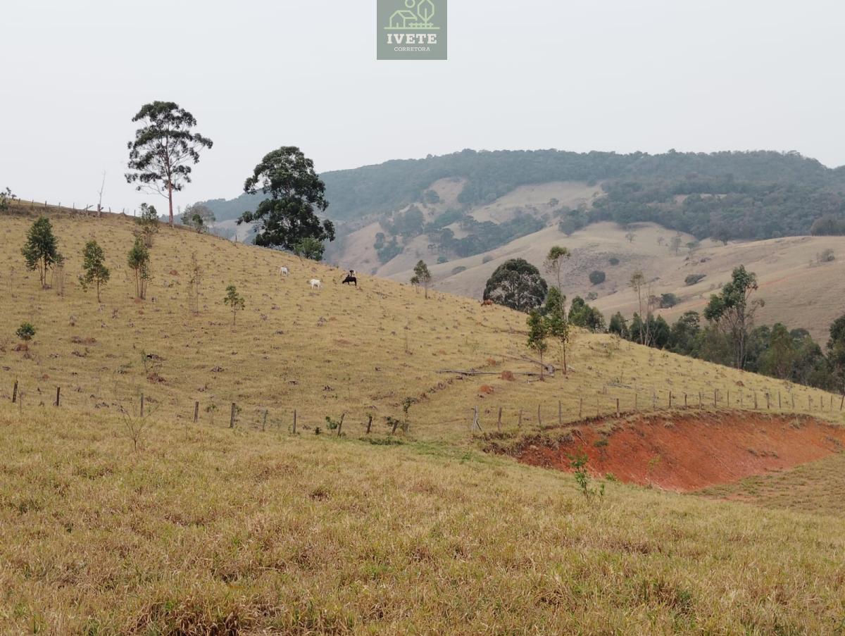 Terreno, 960m², à venda - Ivete San Imóveis
