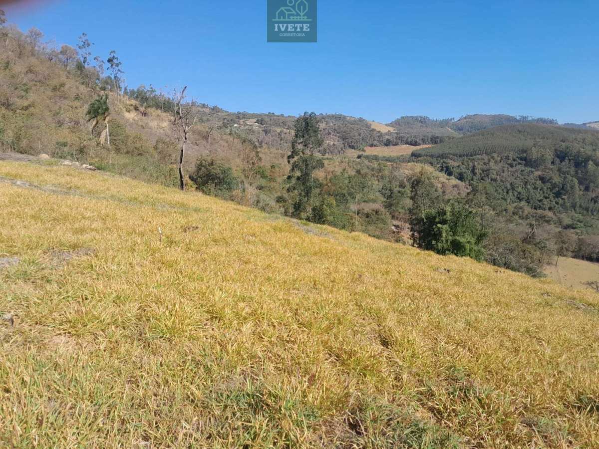🌳Terreno imperdível no Bairro do Livramento em Socorro-SP - Ivete San Imóveis