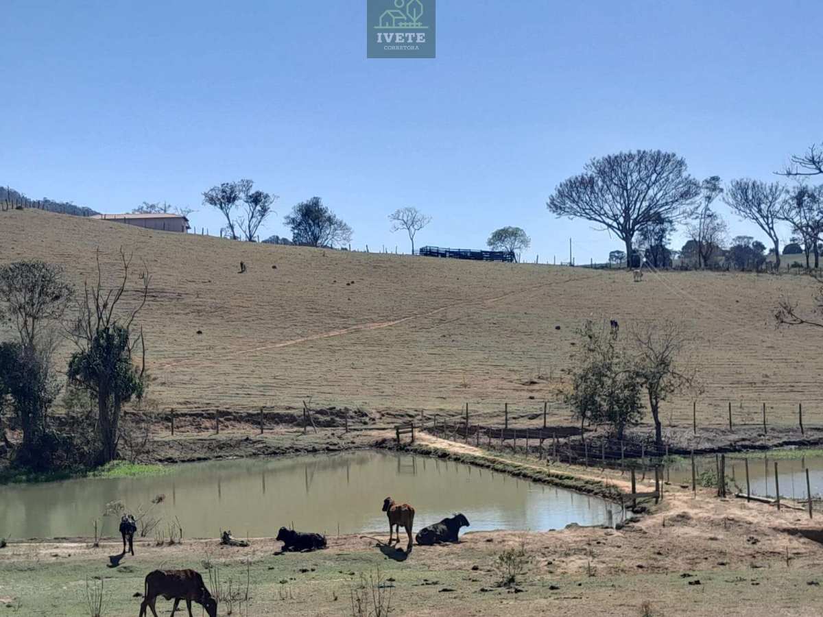 🌳Terreno incrível para criação de animais e plantio🌱 - Ivete San Imóveis
