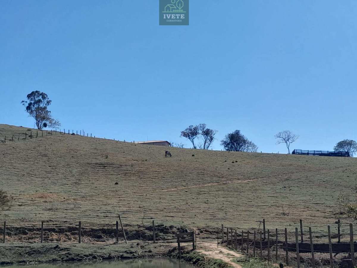 🌳Terreno incrível para criação de animais e plantio🌱 - Ivete San Imóveis