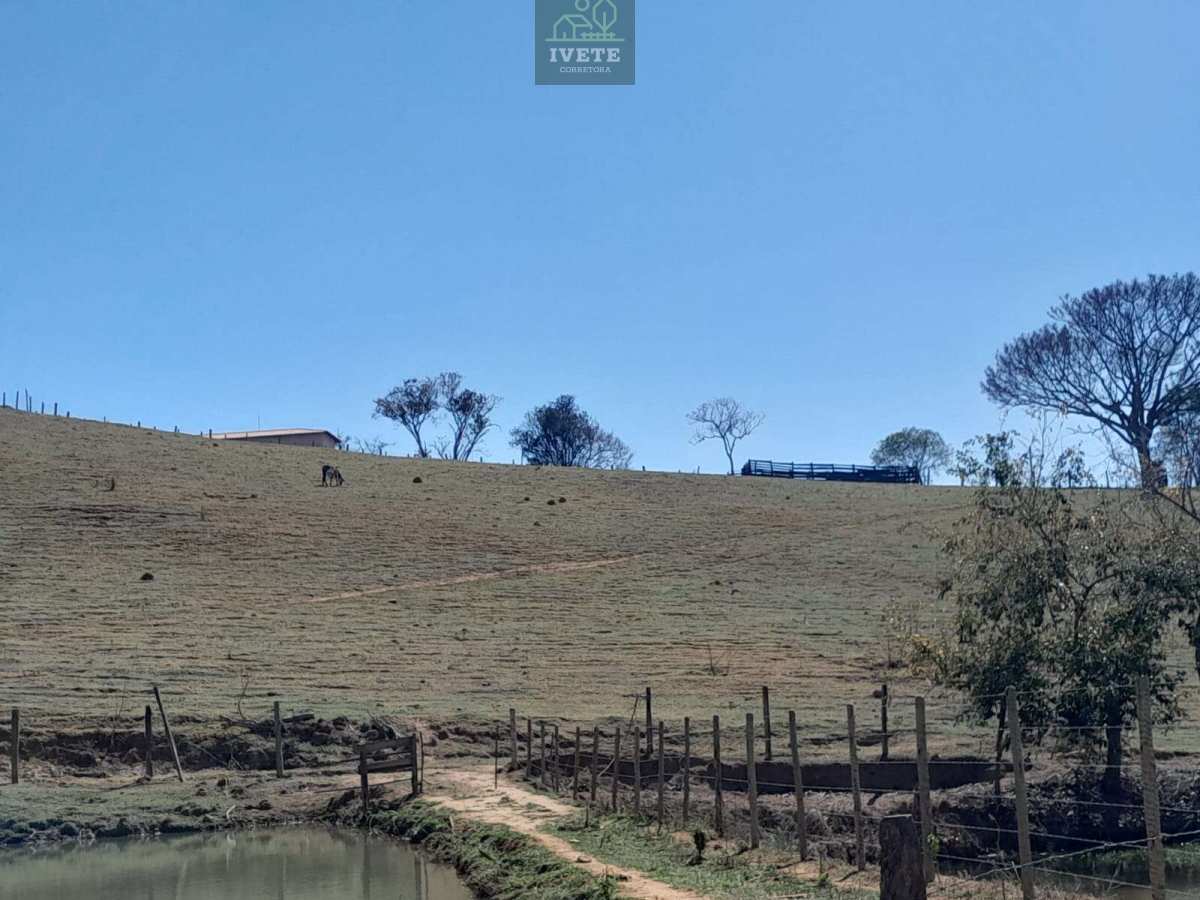 🌳Terreno incrível para criação de animais e plantio🌱 - Ivete San Imóveis