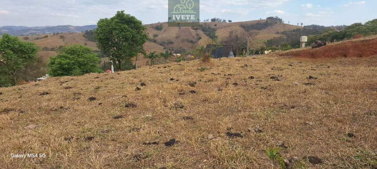 🌳Terreno maravilhoso e valorizado no Bairro da Pompeia. - Ivete San Imóveis