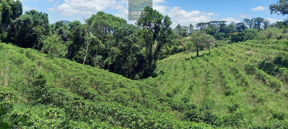 Terreno no Bairro da Lagoa - Oportunidade Única! - Ivete San Imóveis
