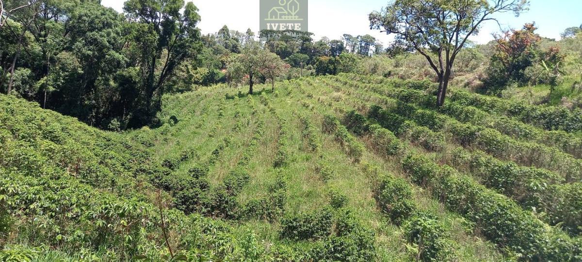 Terreno no Bairro da Lagoa - Oportunidade Única! - Ivete San Imóveis
