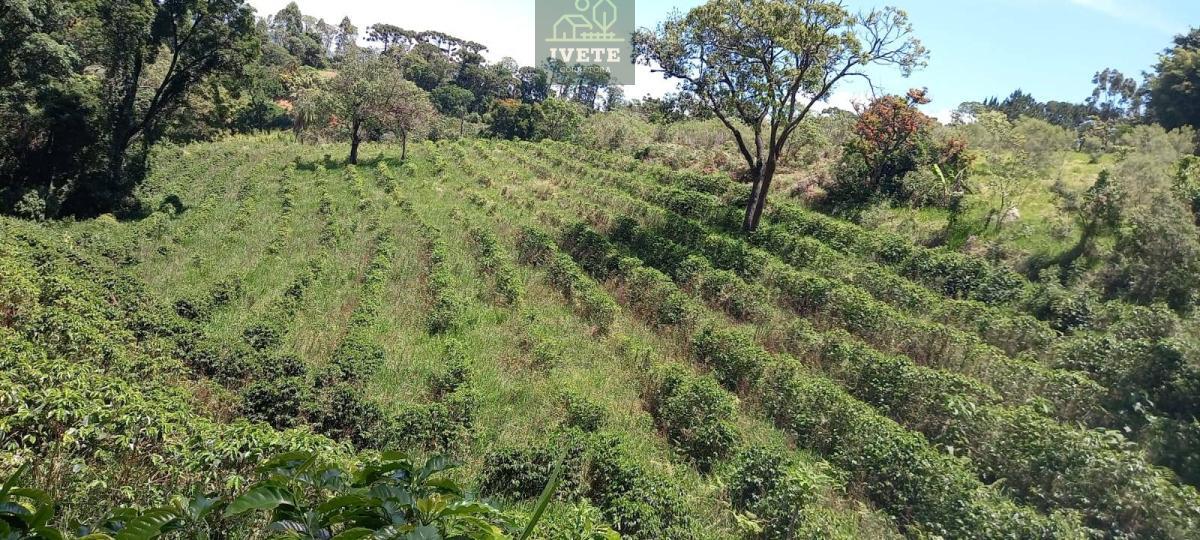 Terreno no Bairro da Lagoa - Oportunidade Única! - Ivete San Imóveis